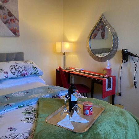 Mountroyal Victorian Studio Self Catering Apartment 3 贝尔法斯特 外观 照片