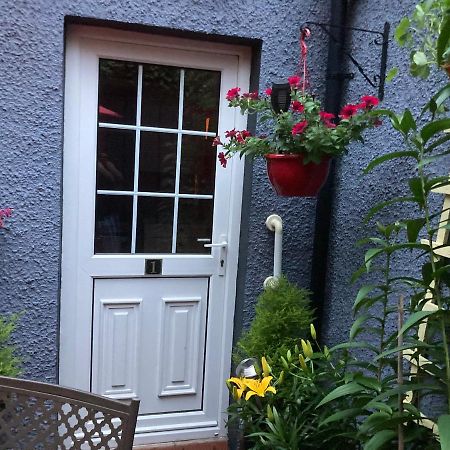 Mountroyal Victorian Studio Self Catering Apartment 3 贝尔法斯特 外观 照片