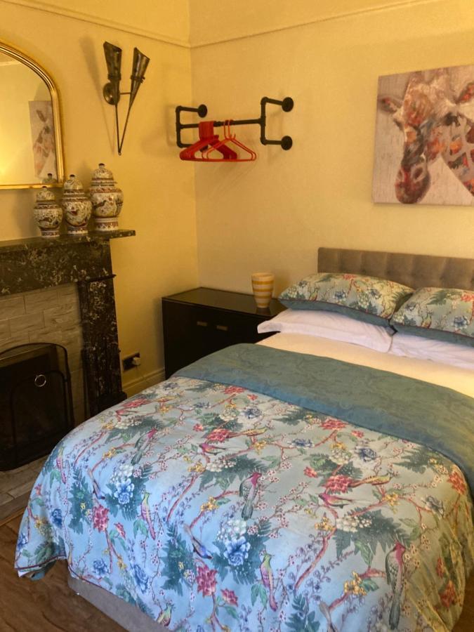 Mountroyal Victorian Studio Self Catering Apartment 3 贝尔法斯特 外观 照片